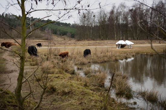 foto: Jeroen Wandemaker